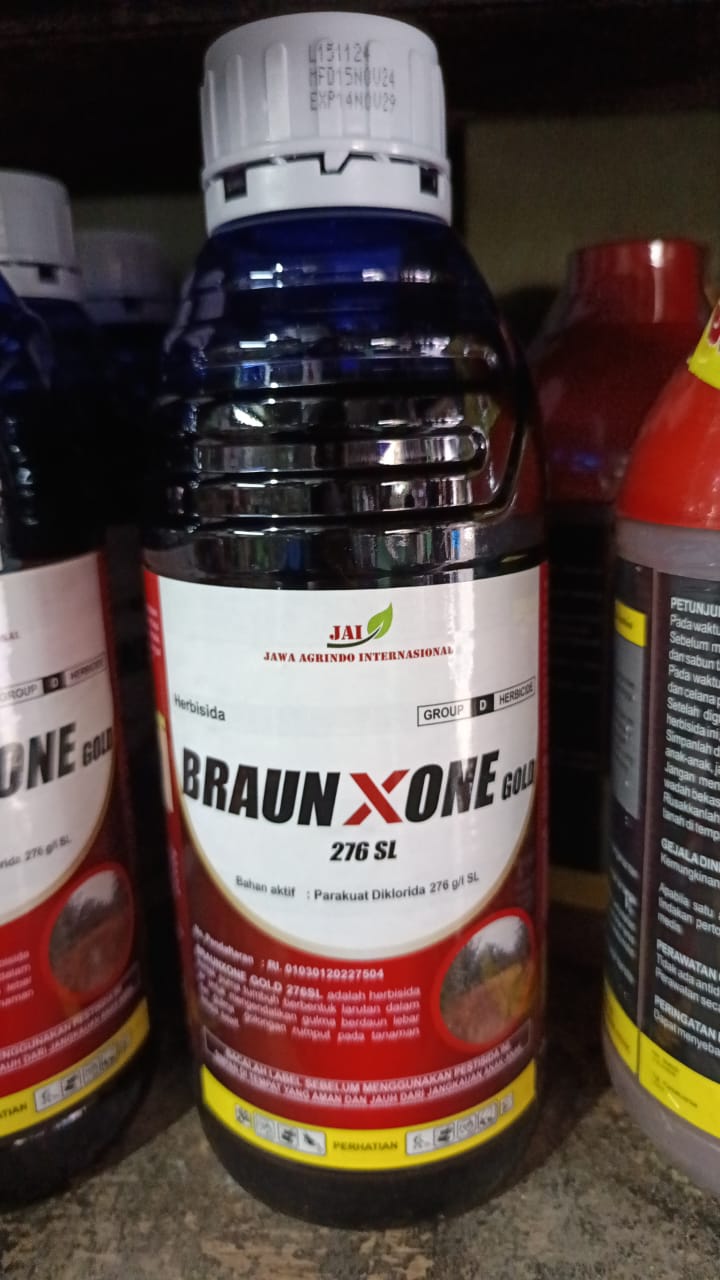 Braunxone Gold 276SL